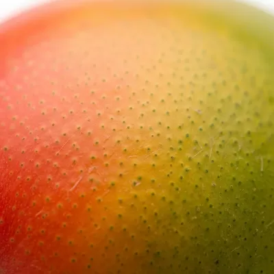 Imagen PNG para descargar